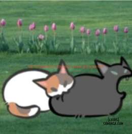 Xem ảnh page_001 trong truyện hentai Một Số Art Của Artist Bên rule34 - Bo nút lặt vặt - www.hentaitvn.net