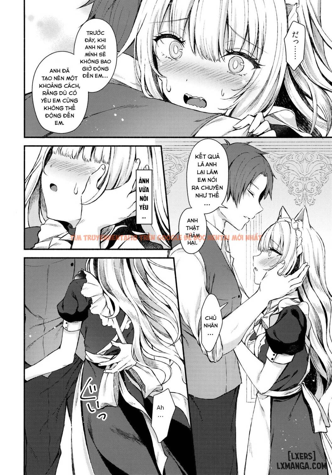 Xem ảnh 11 trong truyện hentai Moto Dorei No Nekomimi Maid - One Shot - hentaitvn.net
