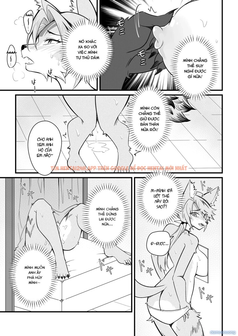 Xem ảnh 15 trong truyện hentai Mùa Động Dục Của Pulchra - One Shot - hentaitvn.net Xem ảnh 15 trong truyện hentai Mùa Động Dục Của Pulchra - One Shot - hentaitvn.net