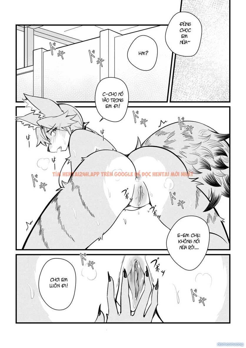 Xem ảnh 18 trong truyện hentai Mùa Động Dục Của Pulchra - One Shot - hentaitvn.net Xem ảnh 18 trong truyện hentai Mùa Động Dục Của Pulchra - One Shot - hentaitvn.net