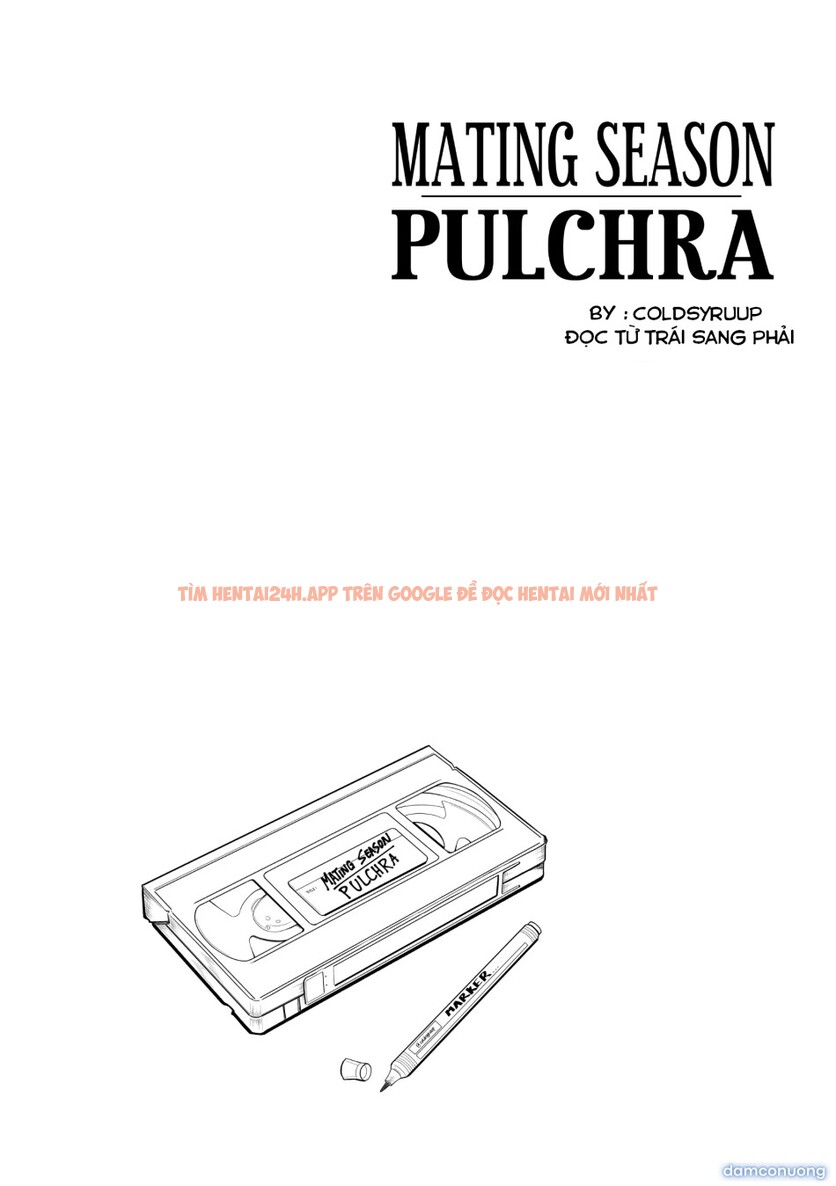 Xem ảnh 3 trong truyện hentai Mùa Động Dục Của Pulchra - One Shot - hentaitvn.net Xem ảnh 3 trong truyện hentai Mùa Động Dục Của Pulchra - One Shot - hentaitvn.net