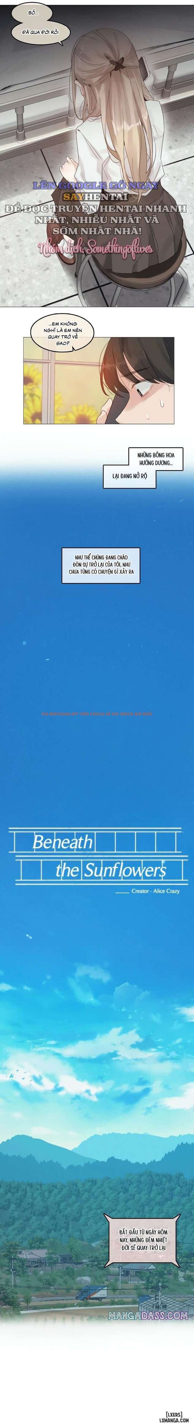 Trang truyện 3 6936687410c0c trong truyện tranh Mùa Hướng Dương Thầm Thì - Chapter 1 - truyentvn.net