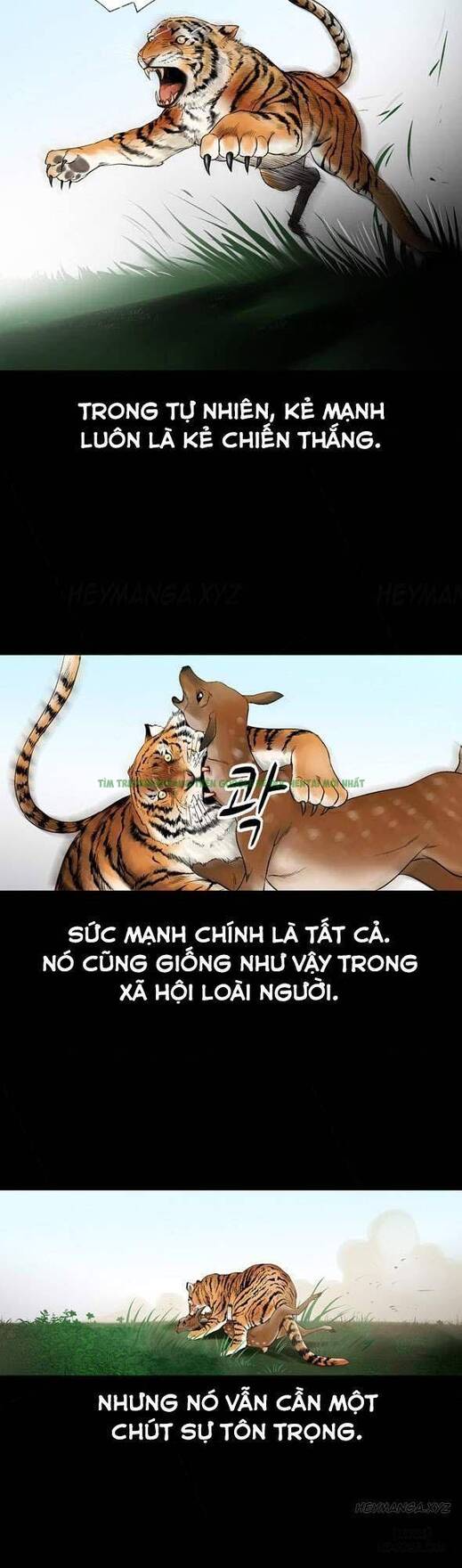 Xem ảnh Mùi Vị Của Đôi Bàn Tay - Chap 56 - 5 - TruyenVN.APP