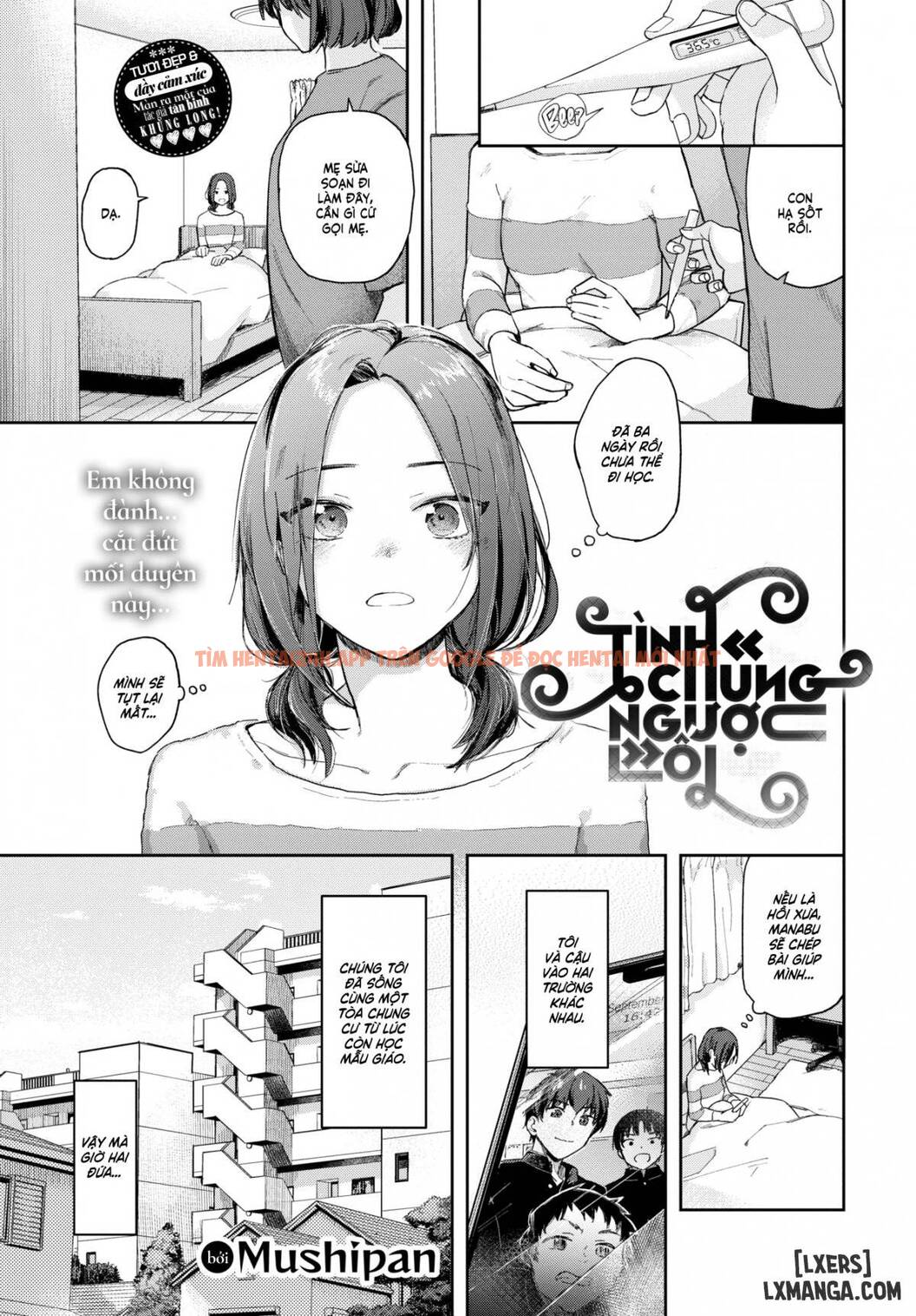 Xem ảnh Mutual, Missed Love - One Shot - 0 - TruyenVN.APP