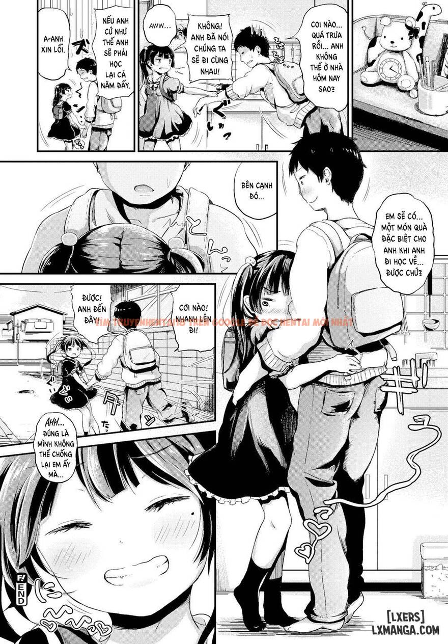 Trang truyện 15 trong truyện tranh My Brother Is Worthless - One Shot - truyentvn.net