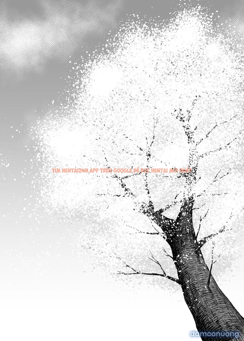 Xem ảnh My Little Brother’s Daughter [otouto No Musume] - Chapter 4 - 30 - TruyenVN.APP