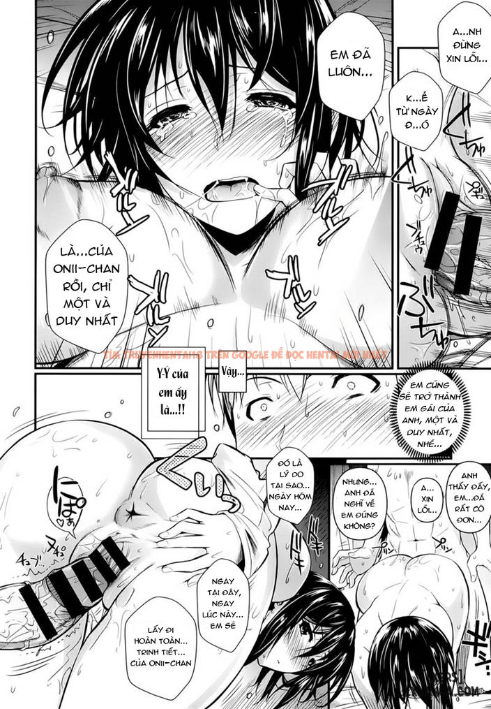 Xem ảnh 19 trong truyện hentai Hentai Loạn Luân Em Gái Tôi Đến Nội Trợ - One Shot - www.hentaitvn.net