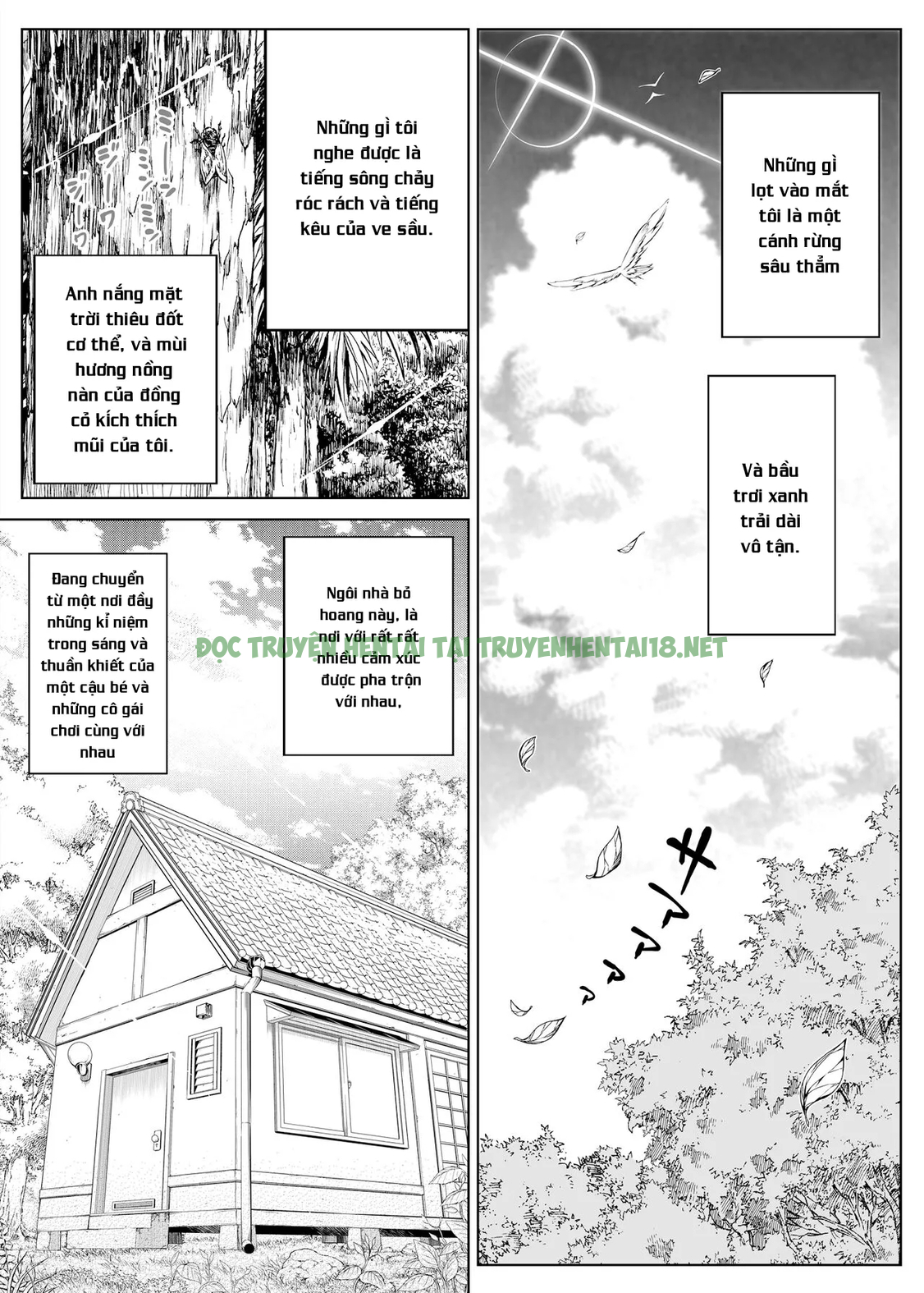 Xem ảnh 79 trong truyện hentai Natsu No Yari Naoshi - Chapter 1 - truyenhentai18.pro