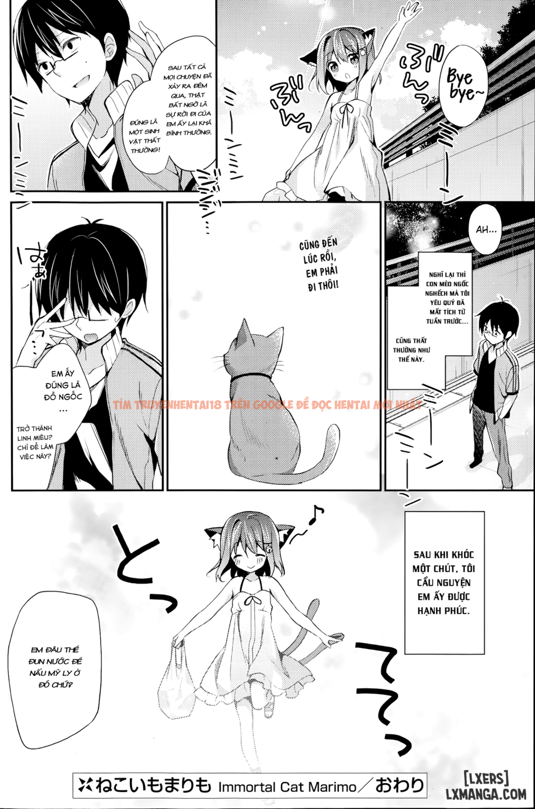 Xem ảnh 19 trong truyện hentai Neko Imo Marimo - One Shot - hentaitvn.net