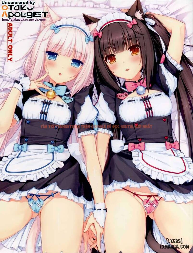 Trang truyện 0 trong truyện tranh Thiên Đường Mèo - Chapter 1 - hentai24h.pro
