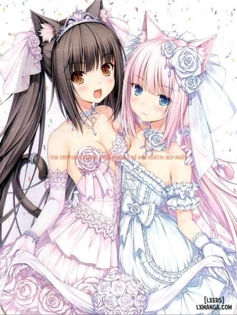 Trang truyện 1 trong truyện tranh Thiên Đường Mèo - Chapter 1 - hentai24h.pro