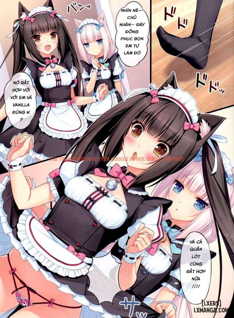 Trang truyện 10 trong truyện tranh Thiên Đường Mèo - Chapter 1 - hentai24h.pro