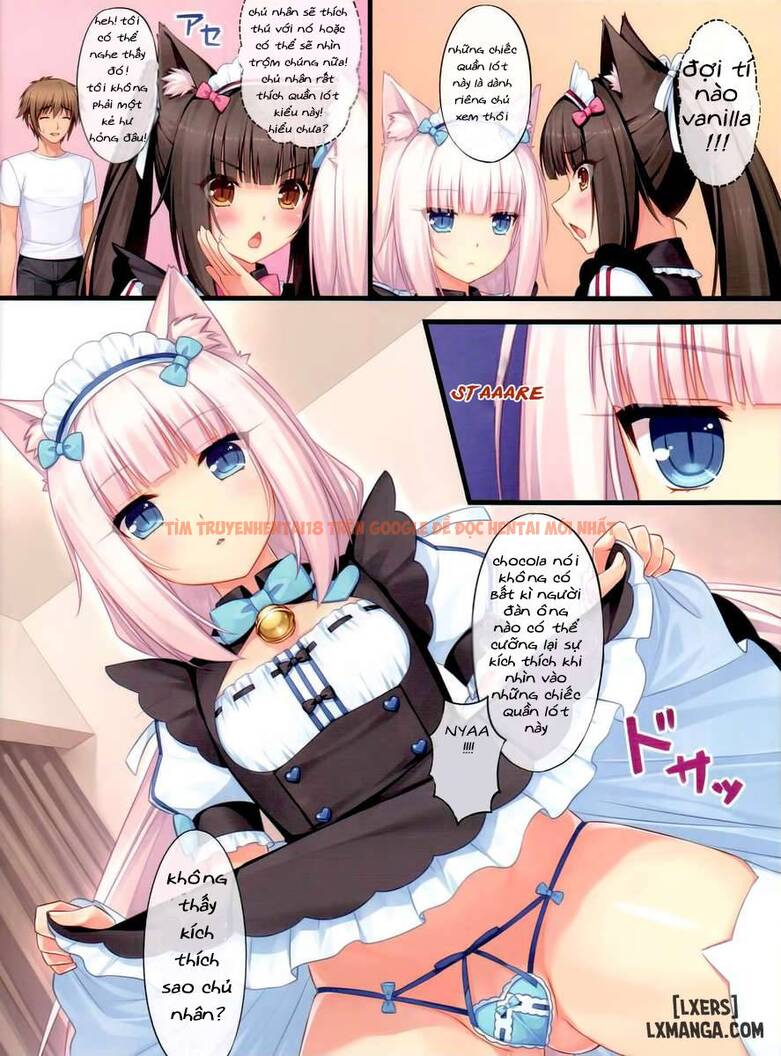 Trang truyện 11 trong truyện tranh Thiên Đường Mèo - Chapter 1 - hentai24h.pro