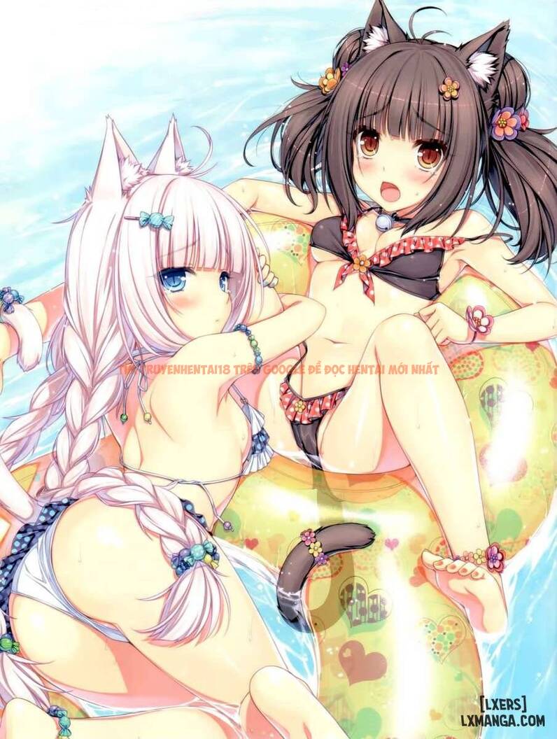 Trang truyện 4 trong truyện tranh Thiên Đường Mèo - Chapter 1 - hentai24h.pro