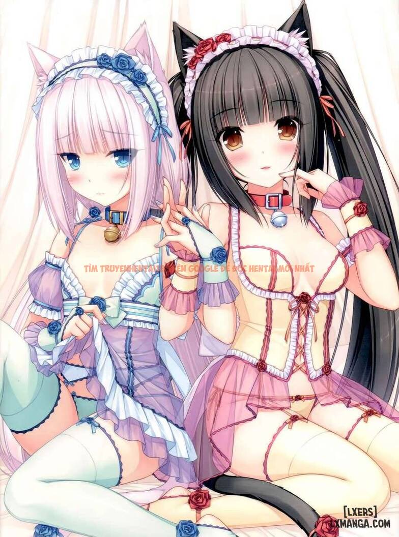 Trang truyện 5 trong truyện tranh Thiên Đường Mèo - Chapter 1 - hentai24h.pro
