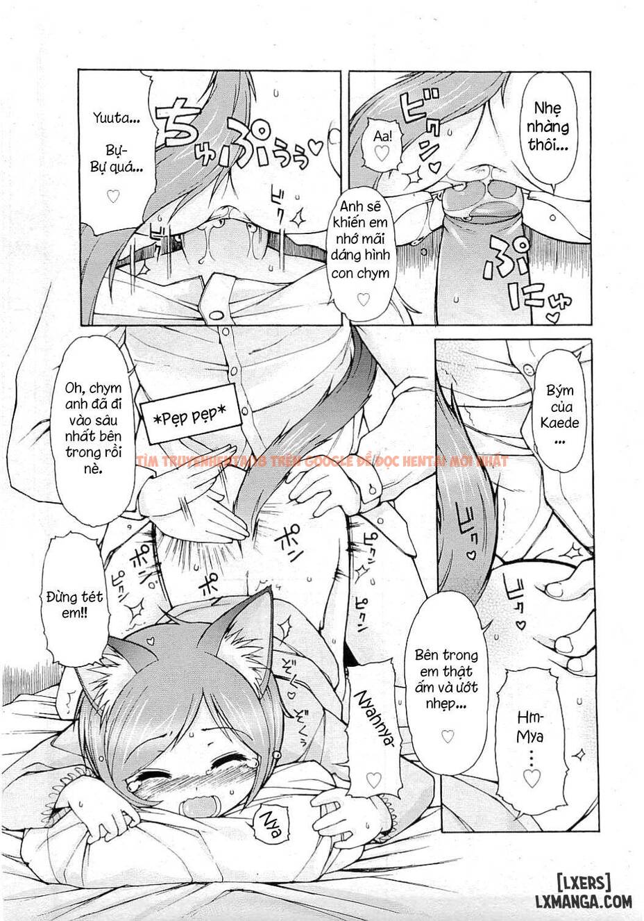 Xem ảnh 11 trong truyện hentai Nekomimi Pandemic - One Shot - hentaitvn.net