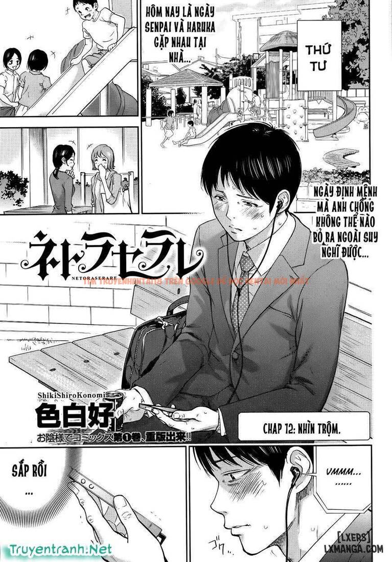 Trang truyện 0 trong truyện tranh Netoraserare - Chapter 12 - hentai24h.pro