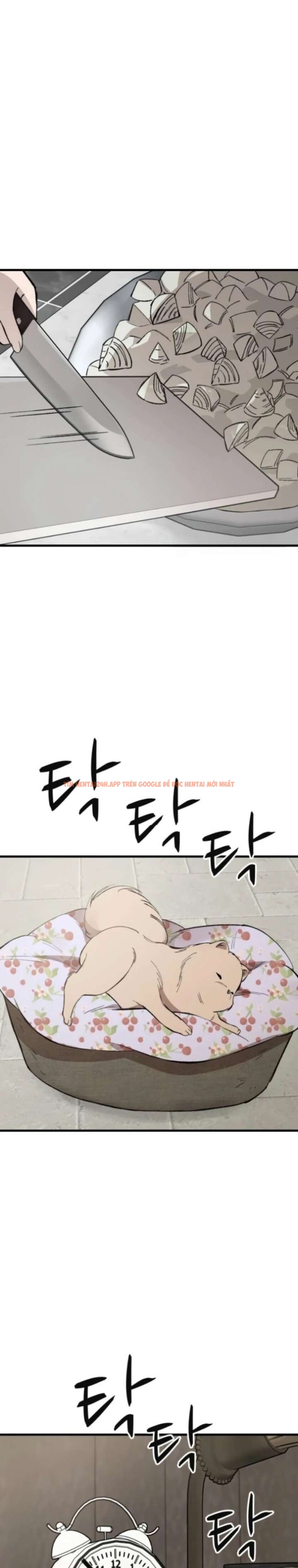 Xem ảnh Ngôi Nhà Cô Đang Sống - Chapter 15 - 6 5 - Truyenhentaiz.net Xem ảnh Ngôi Nhà Cô Đang Sống - Chapter 15 - 6 5 - Truyenhentaiz.net