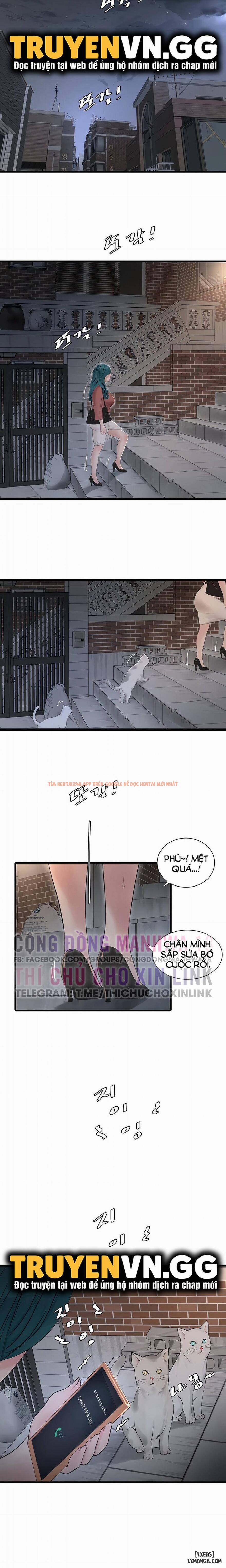 Xem ảnh Nhật Ký Thông Lỗ - Chapter 13 - 11 6908617365a00 - HentaiTruyen.fun