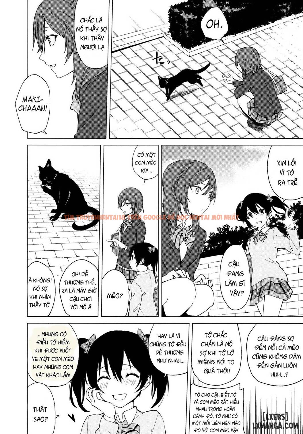 Xem ảnh 3 trong truyện hentai Nico Maki Nyan Nyan Hon - One Shot - hentaitvn.net