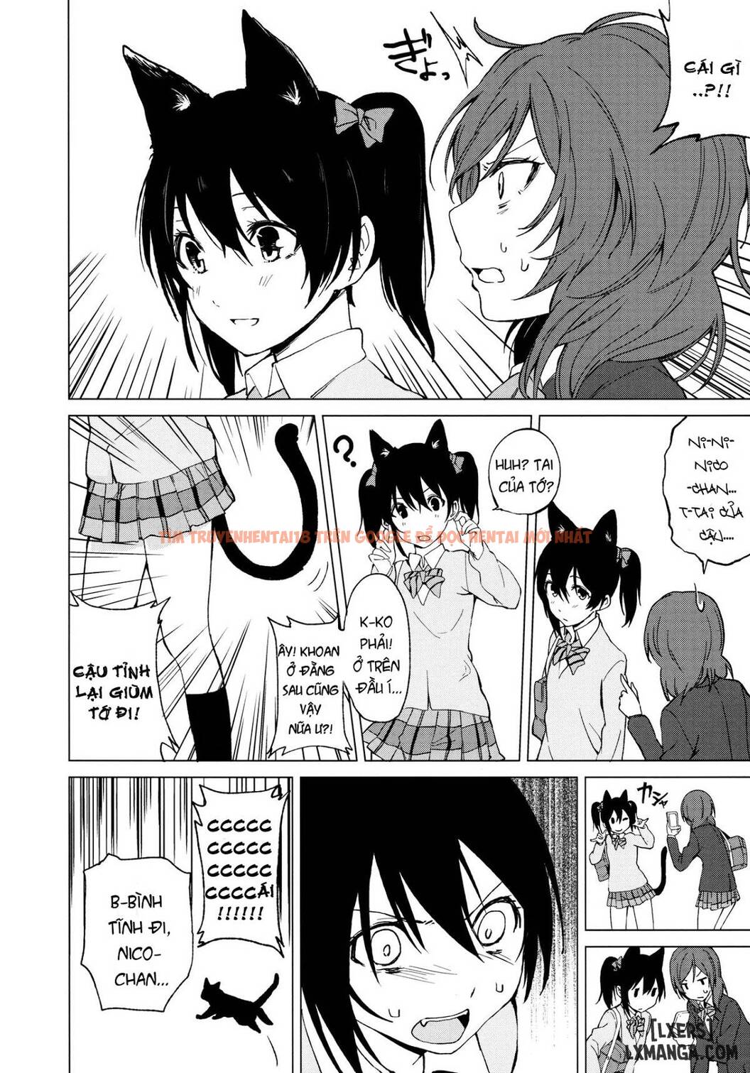 Xem ảnh 5 trong truyện hentai Nico Maki Nyan Nyan Hon - One Shot - hentaitvn.net