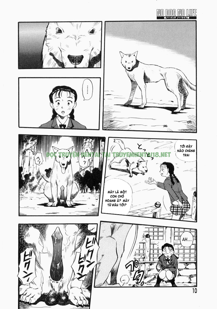 Xem ảnh 11 trong truyện hentai No Dog No Life - Chapter 1 - truyenhentai18.pro
