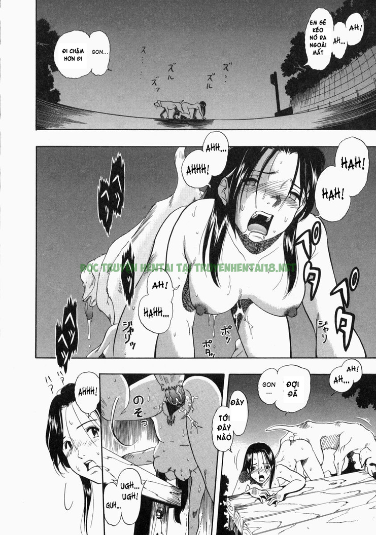 Xem ảnh 9 trong truyện hentai No Dog No Life - Chapter 10 END - truyenhentai18.pro
