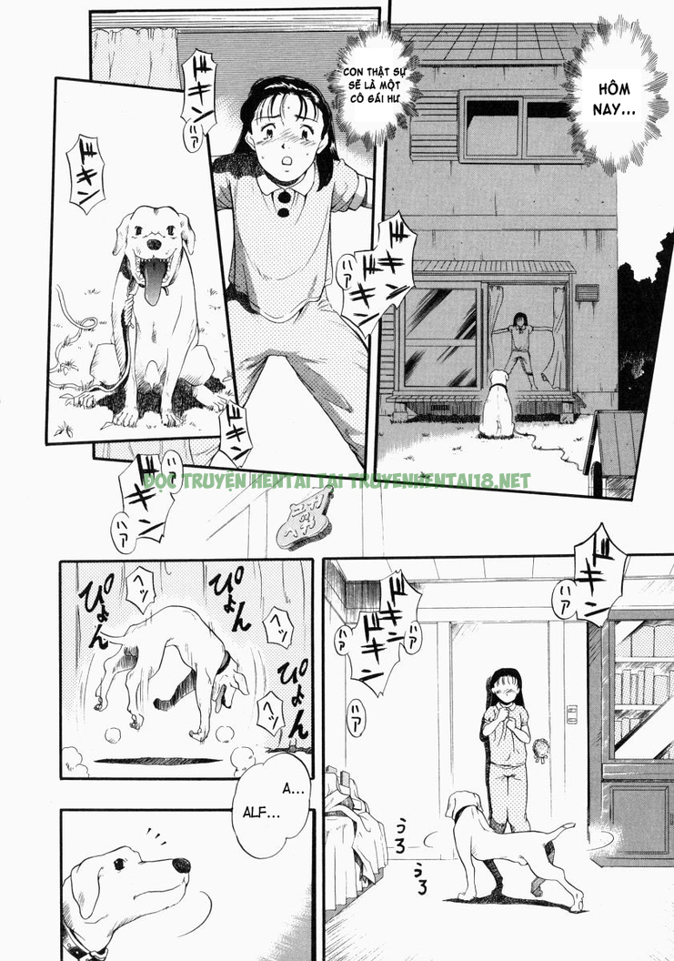 Hình ảnh 11 trong No Dog No Life - Chapter 2 - Hentaimanhwa.net