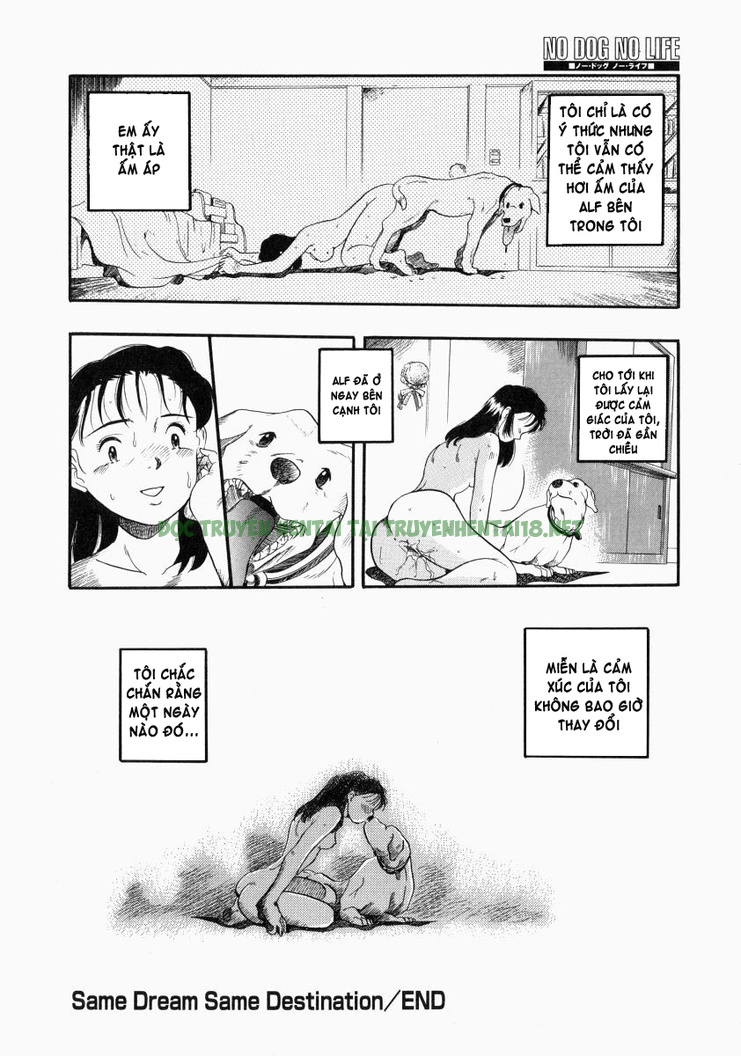 Xem ảnh 23 trong truyện hentai No Dog No Life - Chapter 2 - truyenhentai18.pro