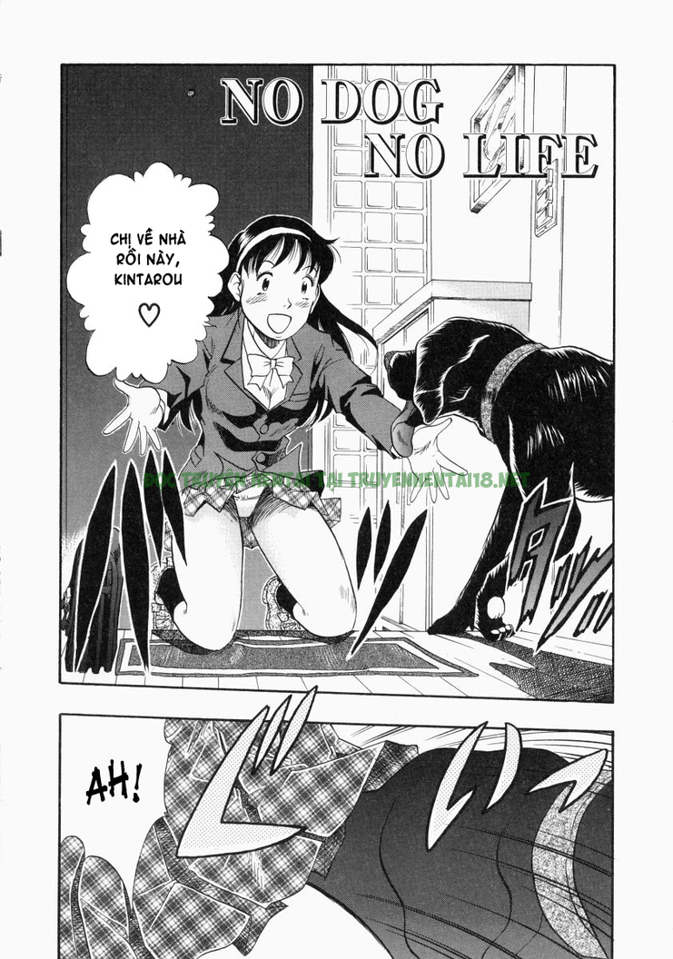 Xem ảnh 1 trong truyện hentai No Dog No Life - Chapter 6 - truyenhentai18.pro