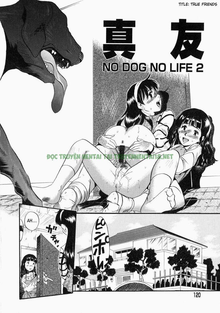Xem ảnh 1 trong truyện hentai No Dog No Life - Chapter 7 - truyenhentai18.pro