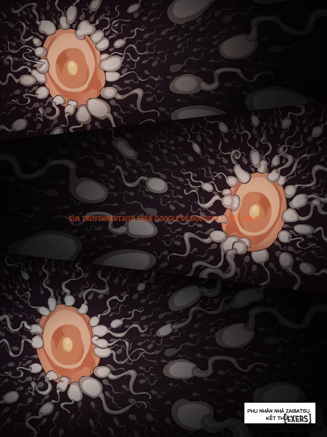 Xem ảnh Nuo - Black Eden Club - Chapter 21 - page_025 - Truyenhentaiz.net