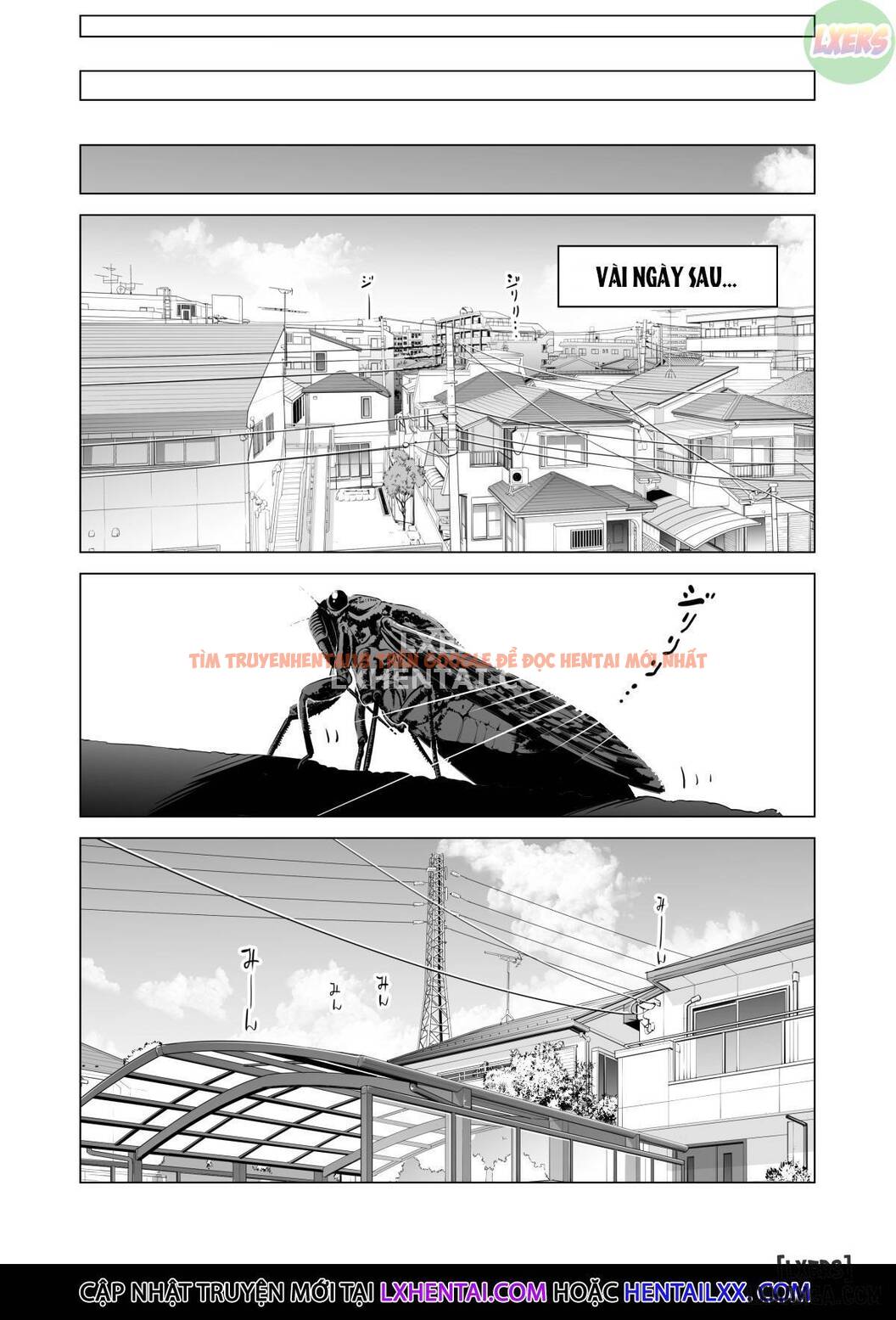 Trang truyện 12 trong truyện tranh Đêm Hè Tôi Quan Hệ Tình Dục Với Gái Độc Thân - One Shot - lxmanga.org