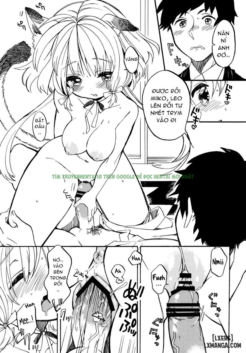 Xem ảnh 11 trong truyện hentai Nyan Nyan Shiyo - One Shot - Truyenhentai18.org