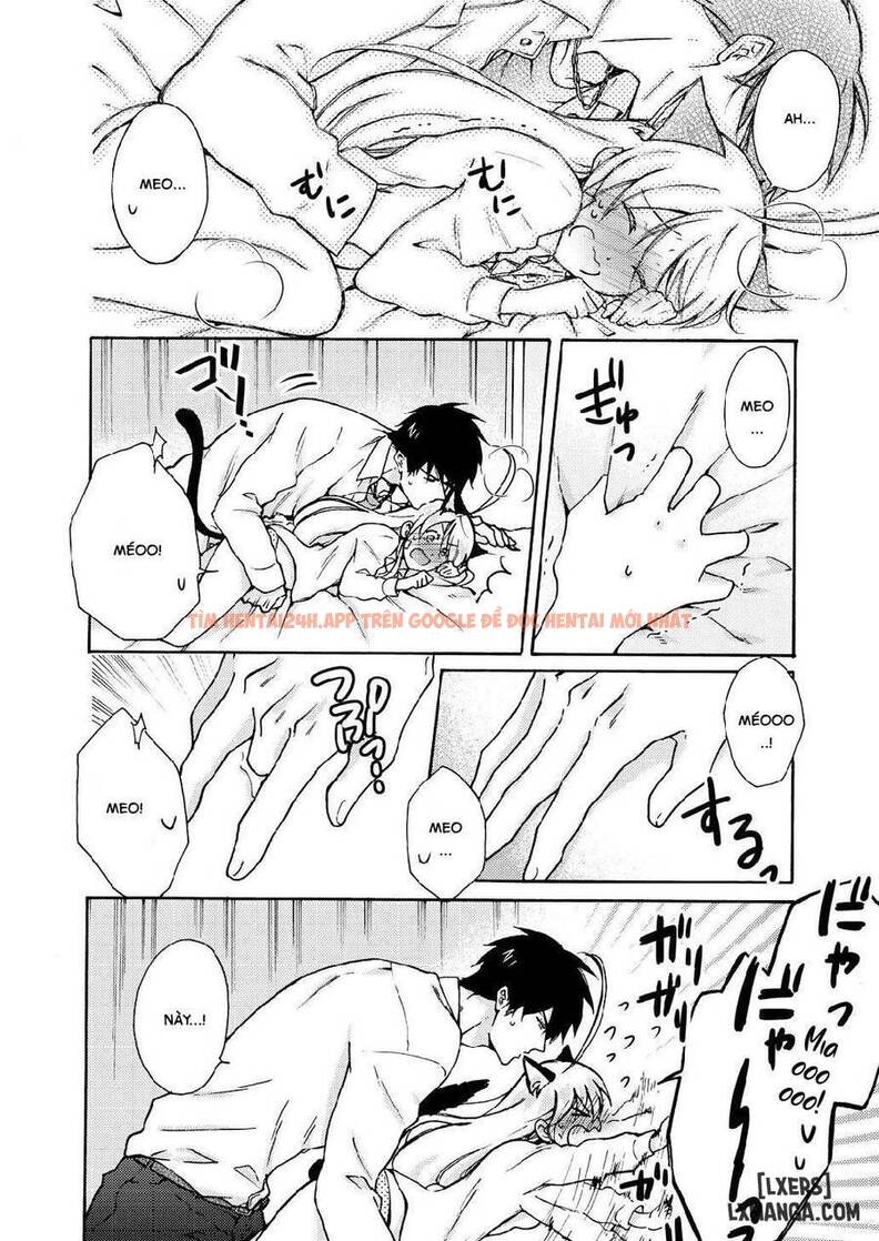 Xem ảnh Nyotaika Yankee Gakuen: Ore No Hajimete, Nerawaretemasu! - Chapter 10 - 29 - HentaiTruyen.fun Xem ảnh Nyotaika Yankee Gakuen: Ore No Hajimete, Nerawaretemasu! - Chapter 10 - 29 - HentaiTruyen.fun