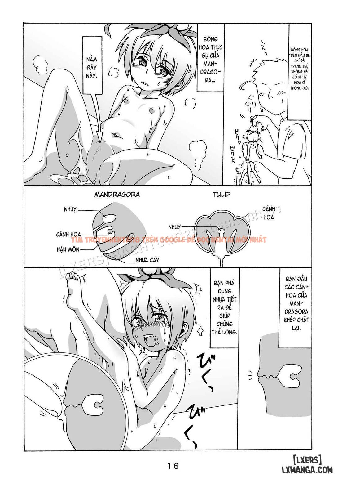 Xem ảnh 14 trong truyện hentai Okudake Mandragora - One Shot - hentaitvn.net