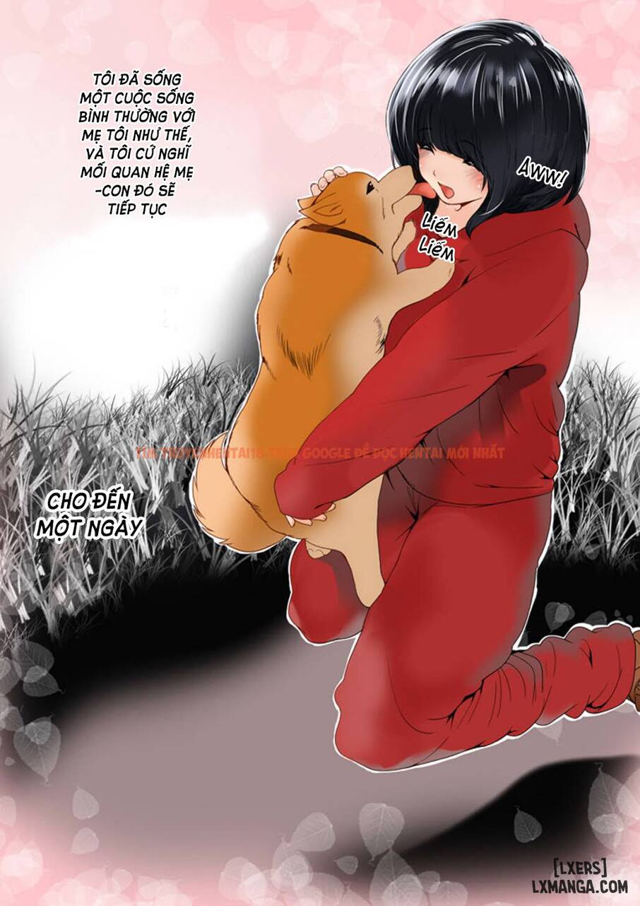 Trang truyện 6 trong truyện tranh Omamagoto Hasegawa-san Chi No Oyakokankei Ichiwame - One Shot - www.truyentvn.net