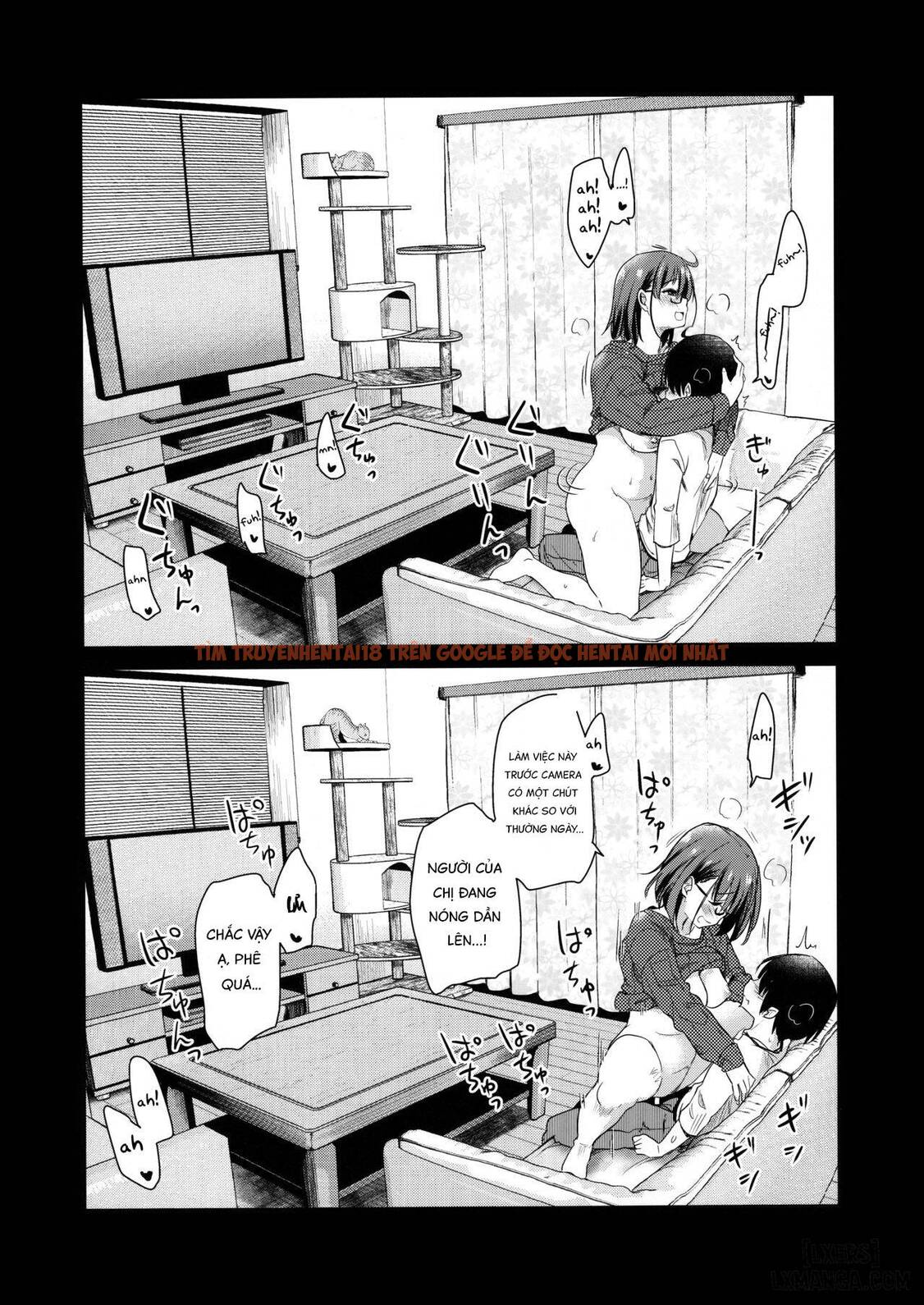 Xem ảnh 19 trong truyện hentai Pet Mimamori Camera Ni Ane To Otouto No Sex Ga Utsutteta - One Shot - hentaitvn.net