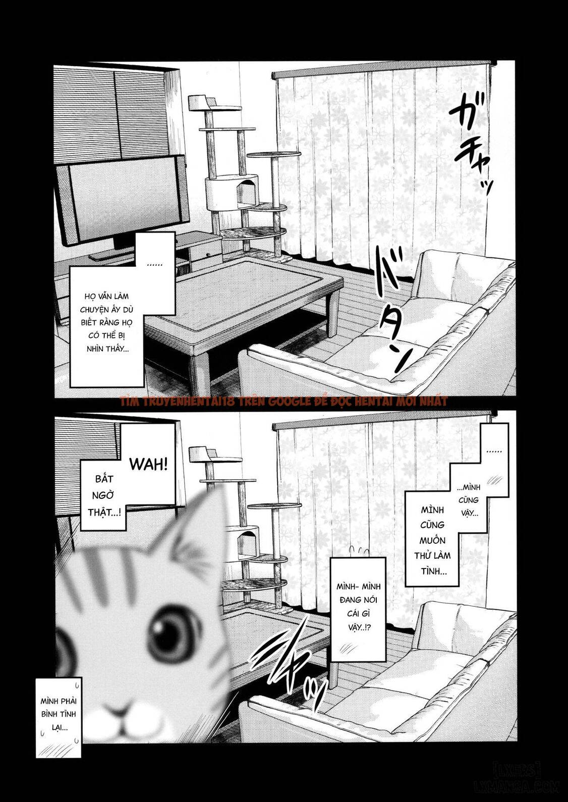 Xem ảnh 28 trong truyện hentai Pet Mimamori Camera Ni Ane To Otouto No Sex Ga Utsutteta - One Shot - hentaitvn.net