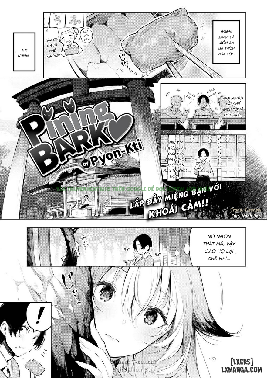 Hình ảnh 0 trong Pining Bark - One Shot - Hentaimanhwa.net