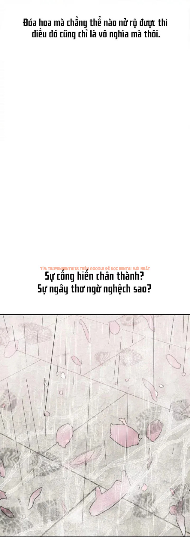 Xem ảnh Quý Cô Xinh Đẹp - Chapter 1 - 66 - HentaiTruyen.fun