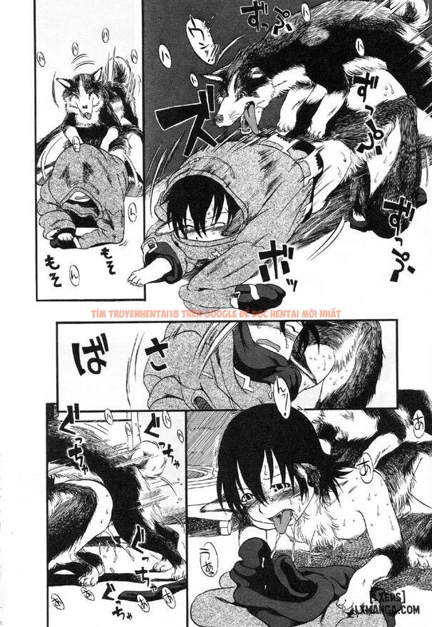 Xem ảnh 11 trong truyện hentai Secret Dog God Kokoko-Chan - Chapter 4 - www.hentaitvn.net