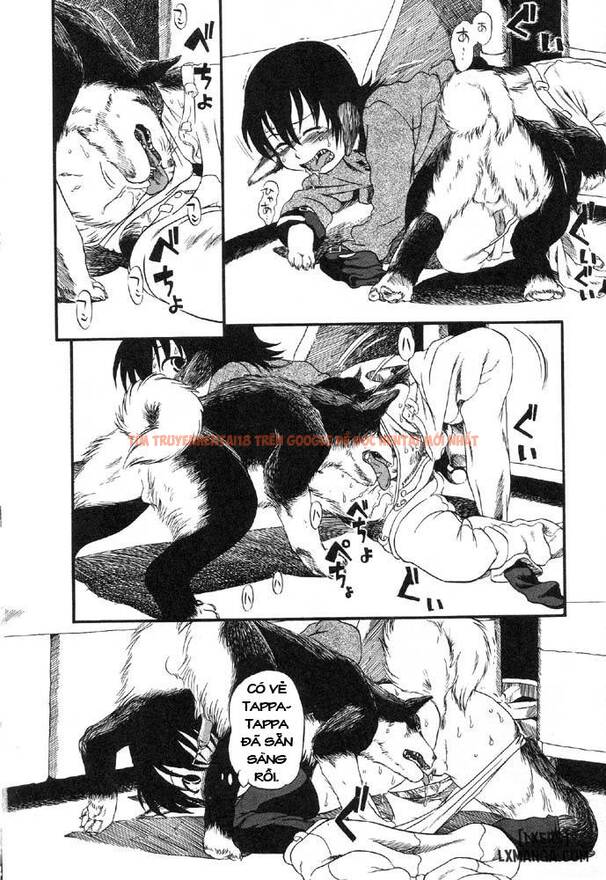 Xem ảnh 7 trong truyện hentai Secret Dog God Kokoko-Chan - Chapter 4 - www.hentaitvn.net