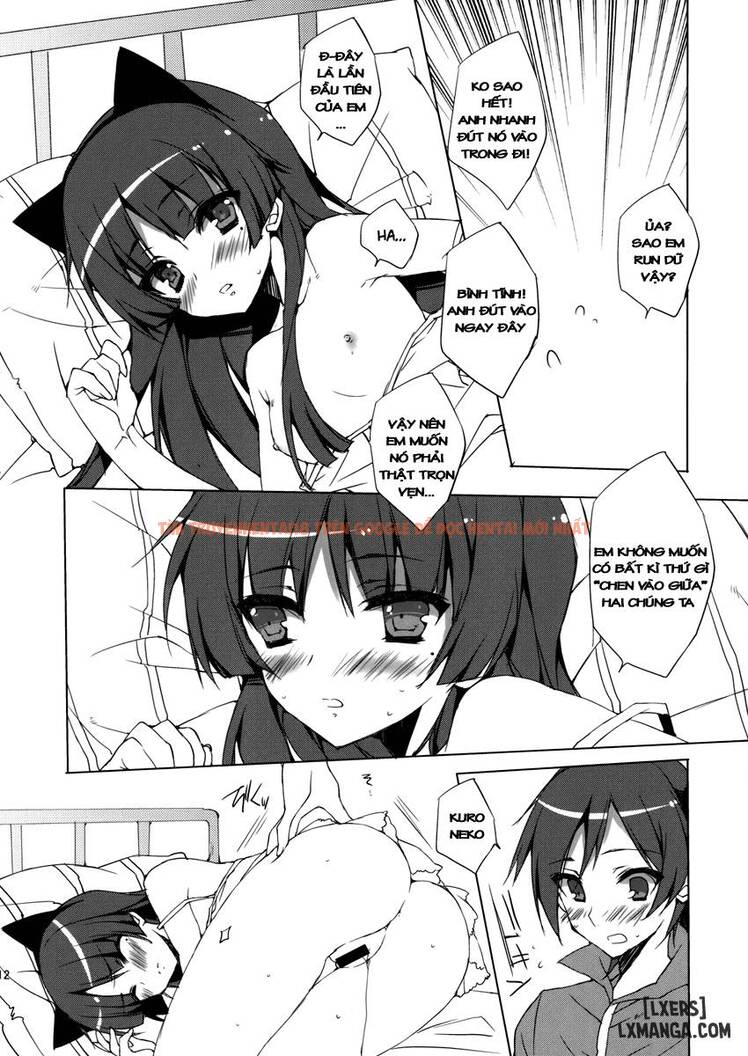 Trang truyện 10 trong truyện tranh Senpai, Kuroneko Desu - One Shot - www.truyentvn.net