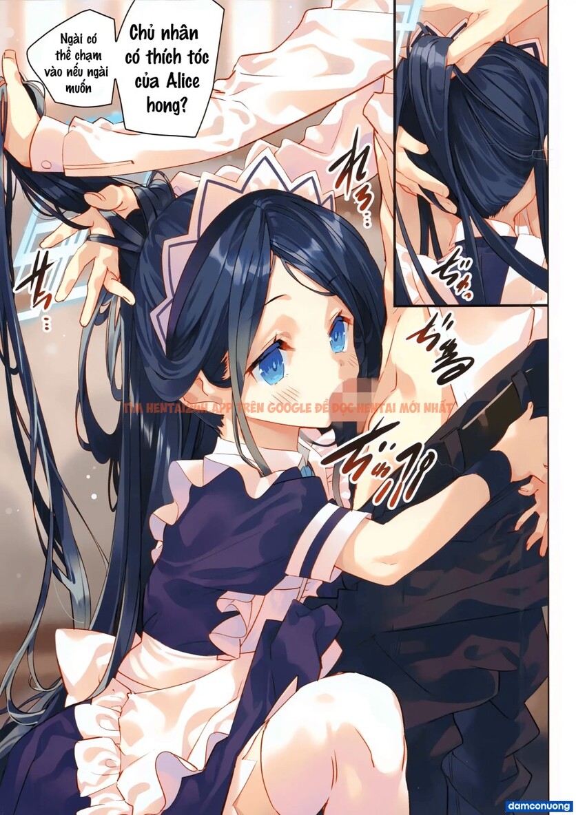 Xem ảnh Sensei Tính Hốt Luôn Cả Em Hầu Gái Alice Sao? - One Shot - 3 - Truyenhentaiz.net Xem ảnh Sensei Tính Hốt Luôn Cả Em Hầu Gái Alice Sao? - One Shot - 3 - Truyenhentaiz.net