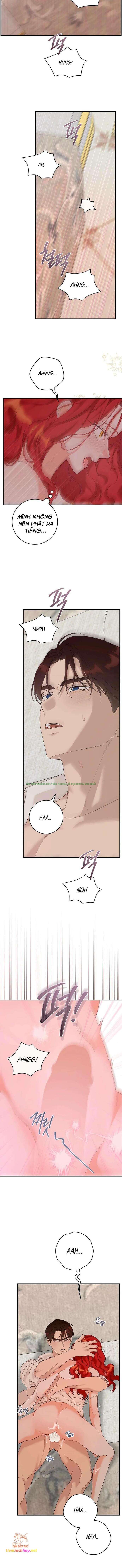 Hình ảnh 011 trong Sở Thích Khó Nói Của Quý Cô - Chap 22 - Hentaimanhwa.net