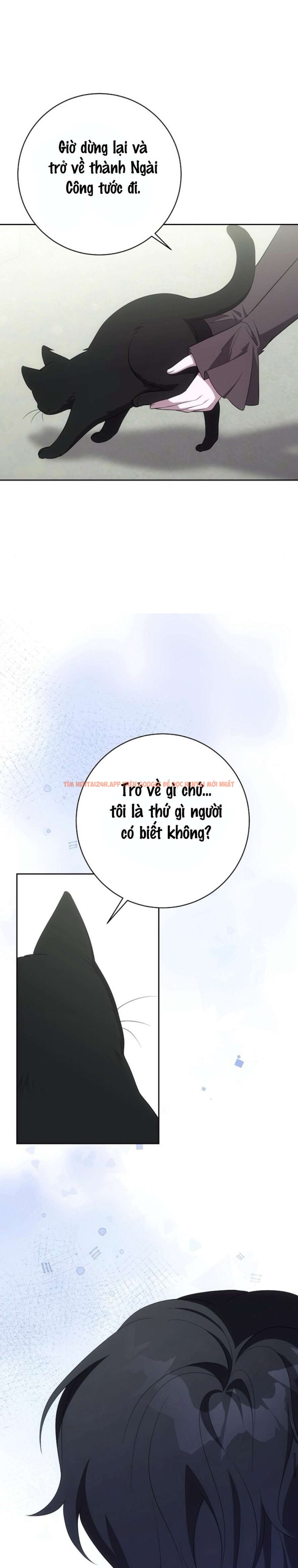 Xem ảnh Sở Thích Kín Đáo - Chapter 6 - 2 0 - Truyenhentaiz.net