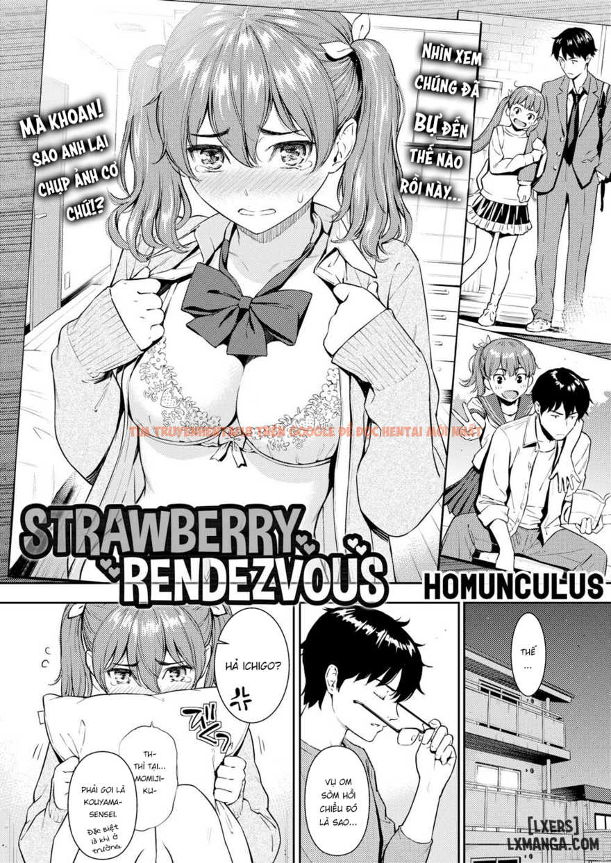 Xem ảnh 1 trong truyện hentai Strawberry Rendezvous - One Shot - hentaitvn.net