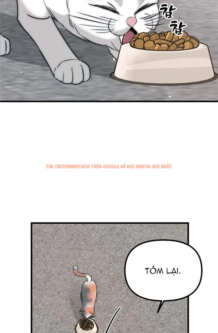 Xem ảnh 13 trong truyện hentai Thầy Giáo Sa Lưới - Chapter 5 - hentaitvn.net Xem ảnh 13 trong truyện hentai Thầy Giáo Sa Lưới - Chapter 5 - hentaitvn.net