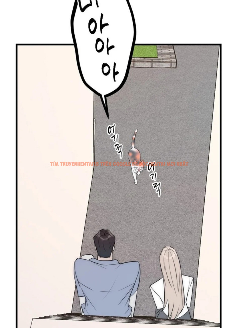 Xem ảnh 54 trong truyện hentai Thầy Giáo Sa Lưới - Chapter 8 - hentaitvn.net